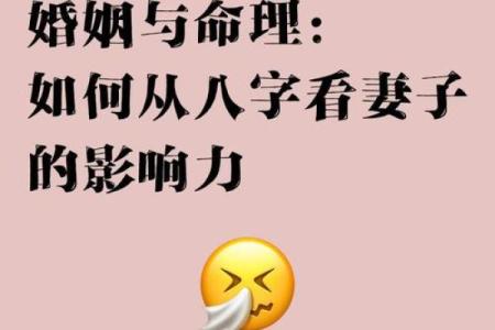 疼爱妻子八字