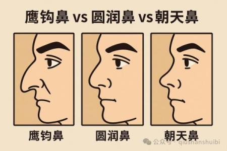 风水面相嫁给鹰钩鼻男人的下场会幸福吗
