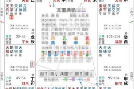 k366紫薇斗数