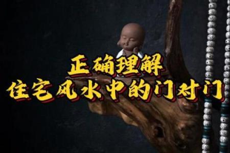 大门对大门的风水化解_大门对公用门好吗