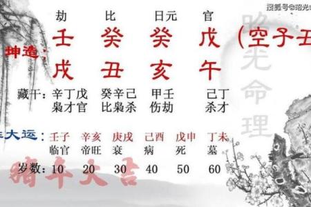 八字四阴四阳命理分析