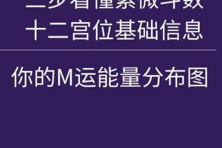 紫薇斗数解盘許