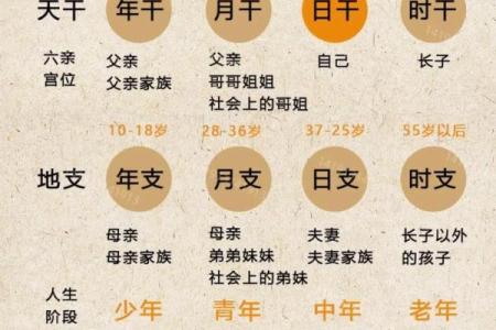 四柱八字知识