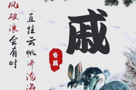 戚姓男孩名字大全-戚姓男孩起名字大全-戚姓名字大全姓名