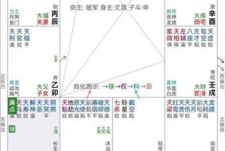 紫薇斗数星盘分析