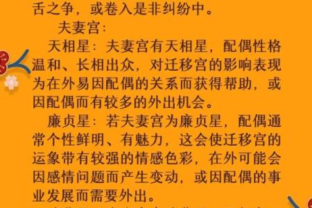 紫薇斗数入门术语