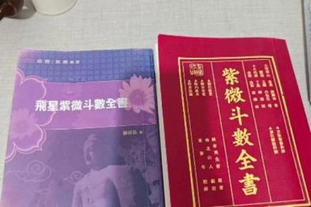 在线阅读紫微斗数全书 紫微斗数书籍在线阅读下载？