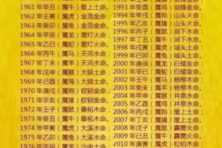 算财运最准的免费网站 八字算财运