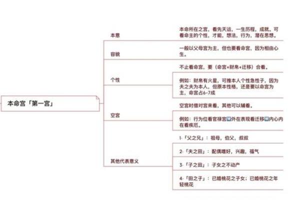 紫薇斗数命宫性格