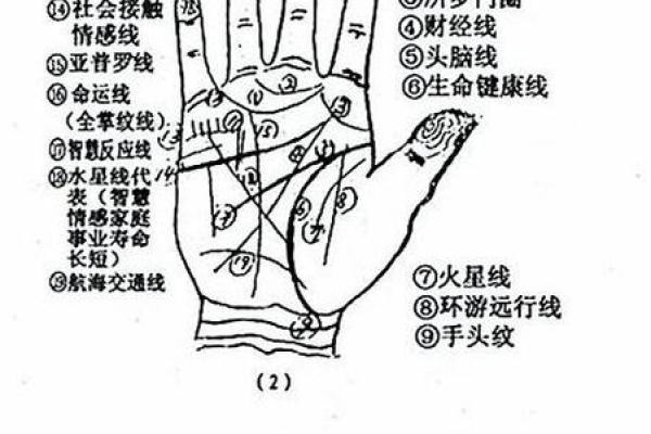 女手相算命图解