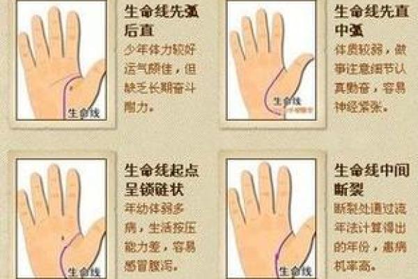 女手相算命图解