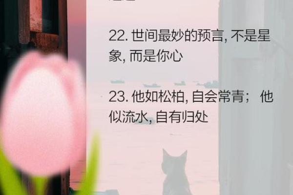 怎么给人算命夸别人
