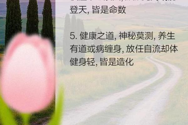 怎么给人算命夸别人