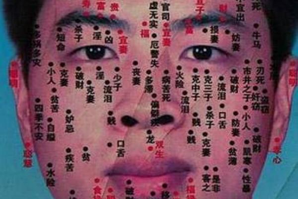 男测脸面相算命图解大全