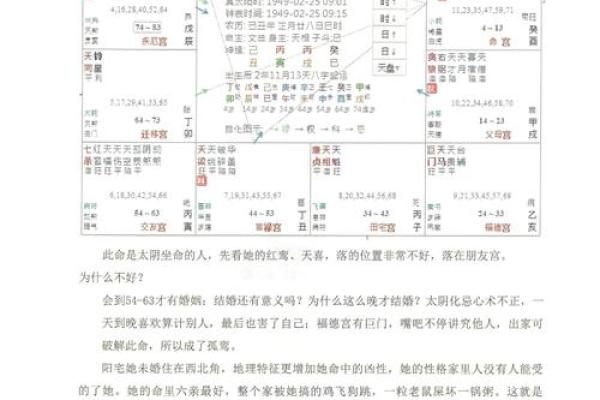 倪海厦天纪紫薇斗数排盘
