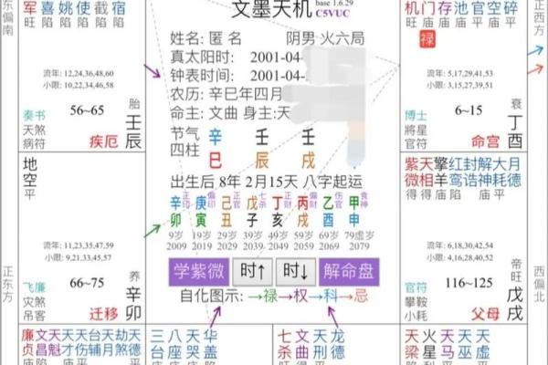 倪海厦天纪紫薇斗数排盘
