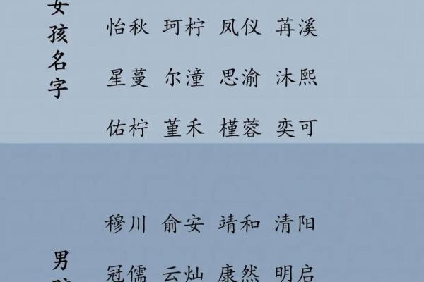2019年4月3号寅时出生的男孩应该起什么样的名字姓名