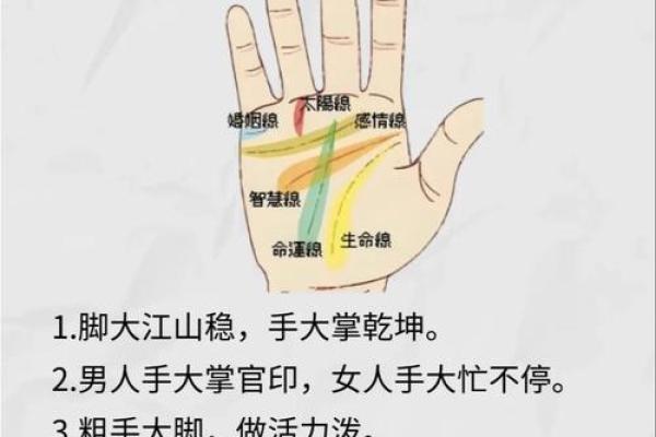 男人手上有9个斗的命运 手相算命