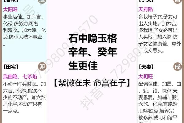 紫薇斗数大限大子女