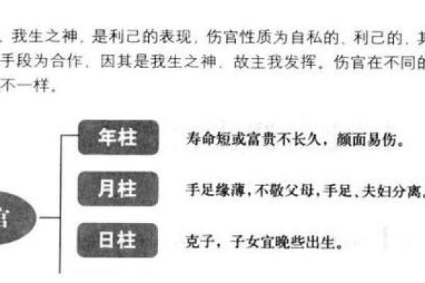 紫薇斗数伤官