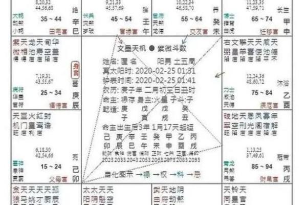 紫薇斗数12神