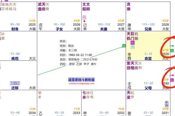 紫薇斗数第三者