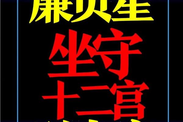 廉贞紫薇斗数