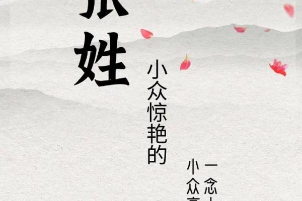张姓女孩名字大全-张姓女孩起名字大全-张姓名字大全姓名