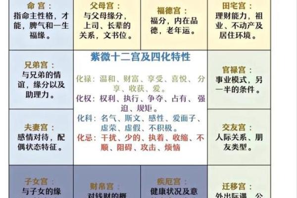 紫薇斗数怎么看命理正缘