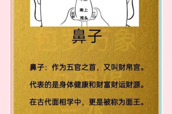 济缘算命：解读鼻子对命运的影响