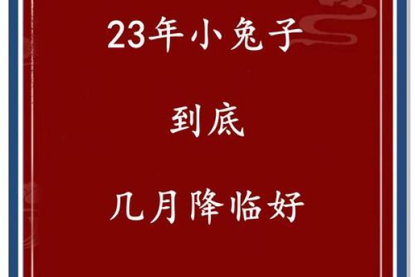 属兔寅时出生的男孩如何起名比较好姓名