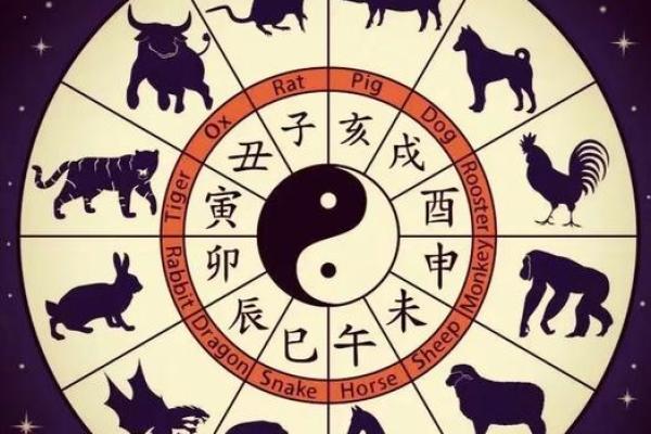 合时辰八字