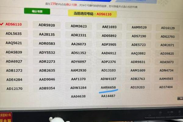 车牌吉凶查询打分测试免费 尾数为9的车牌号好不好