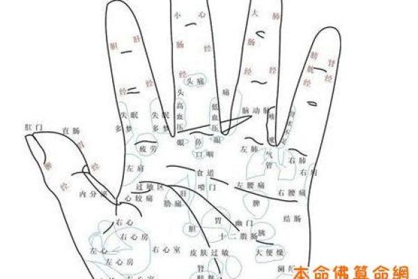 凯帝阿手相算命图解大全04