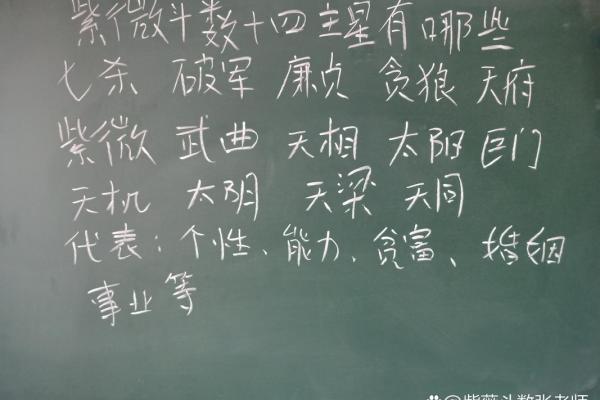 唐艺尹老师：紫薇斗数主星解释