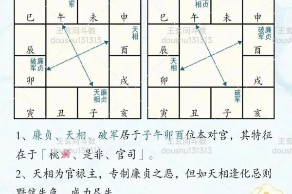 紫微斗数诸星落诸宫之：廉贞星官禄宫详解