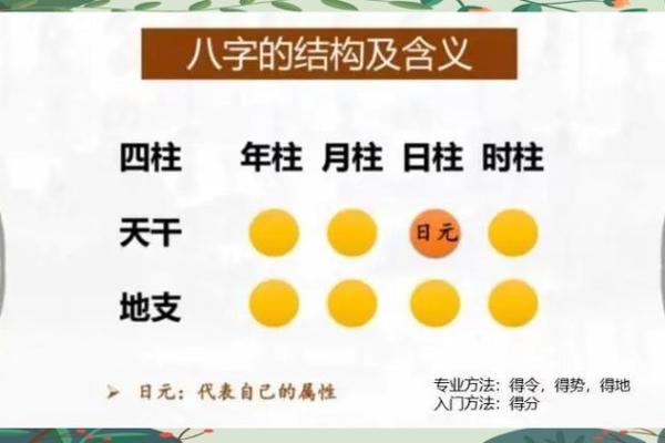 日元八字