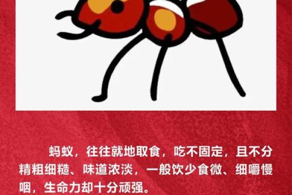 八字无火，如何调侯？养生之道帮你实现！