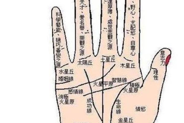 女性手纹算命图解
