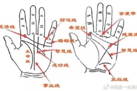 凯帝阿手相算命图解大全08