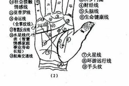 女手相算命图解