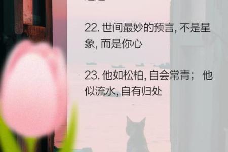 怎么给人算命夸别人