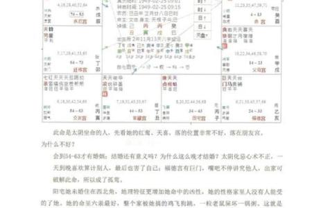 倪海厦天纪紫薇斗数排盘