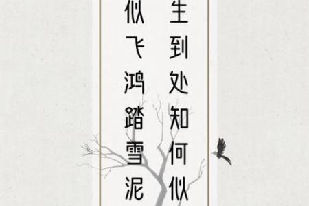 会算命卜卦的古言