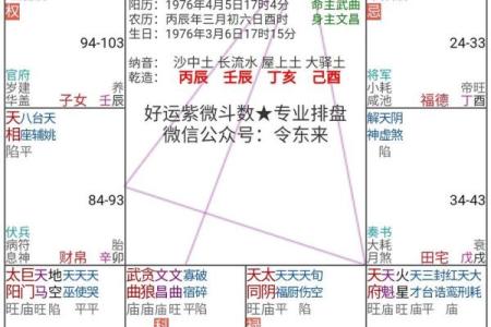 紫薇斗数大限大子女