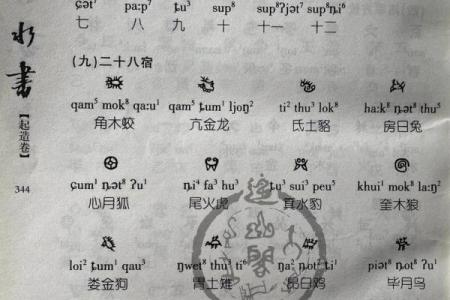二十八宿天星风水术 二十八宿天星风水术书