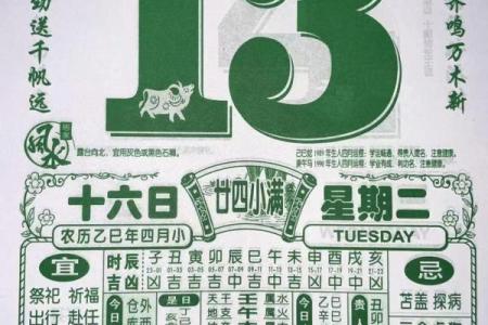 5月八字