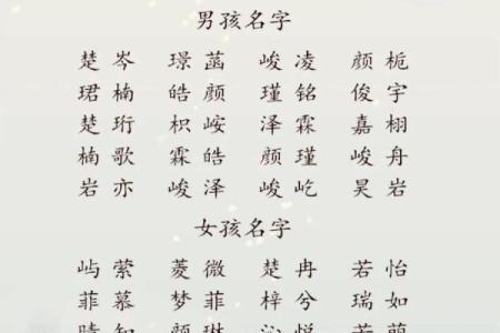 2019年5月10号丑时出生的男孩起名方法姓名