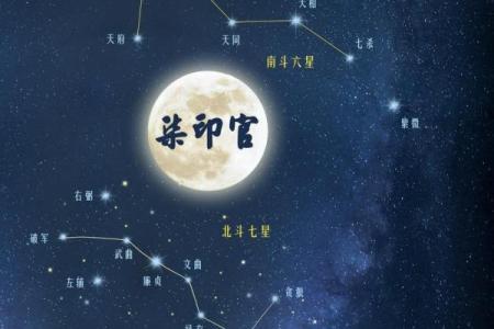 紫薇斗数丁级星