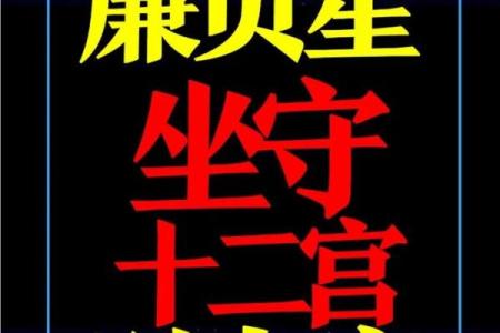 廉贞紫薇斗数